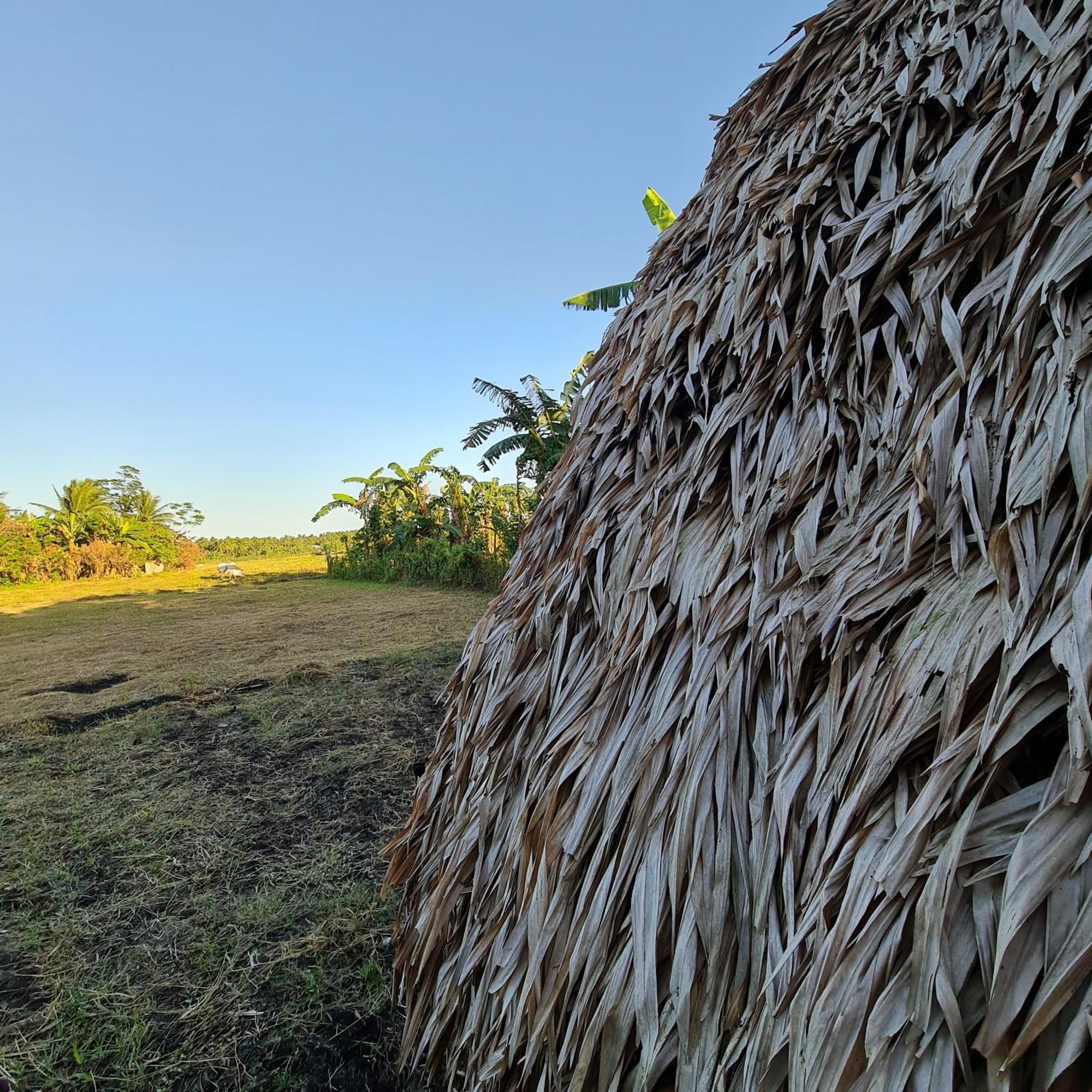 ホテル Casa Juan Farm Candelaria  エクステリア 写真