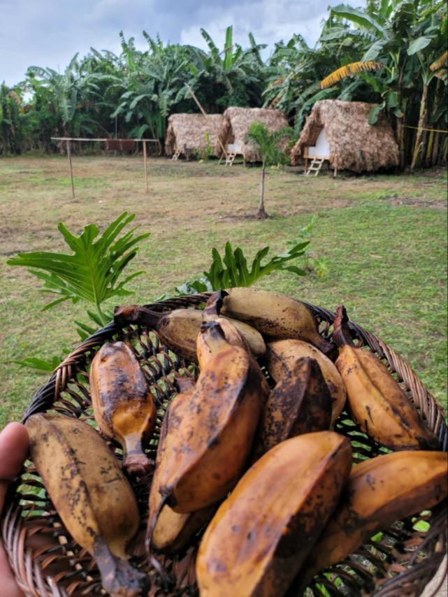 ホテル Casa Juan Farm Candelaria  エクステリア 写真