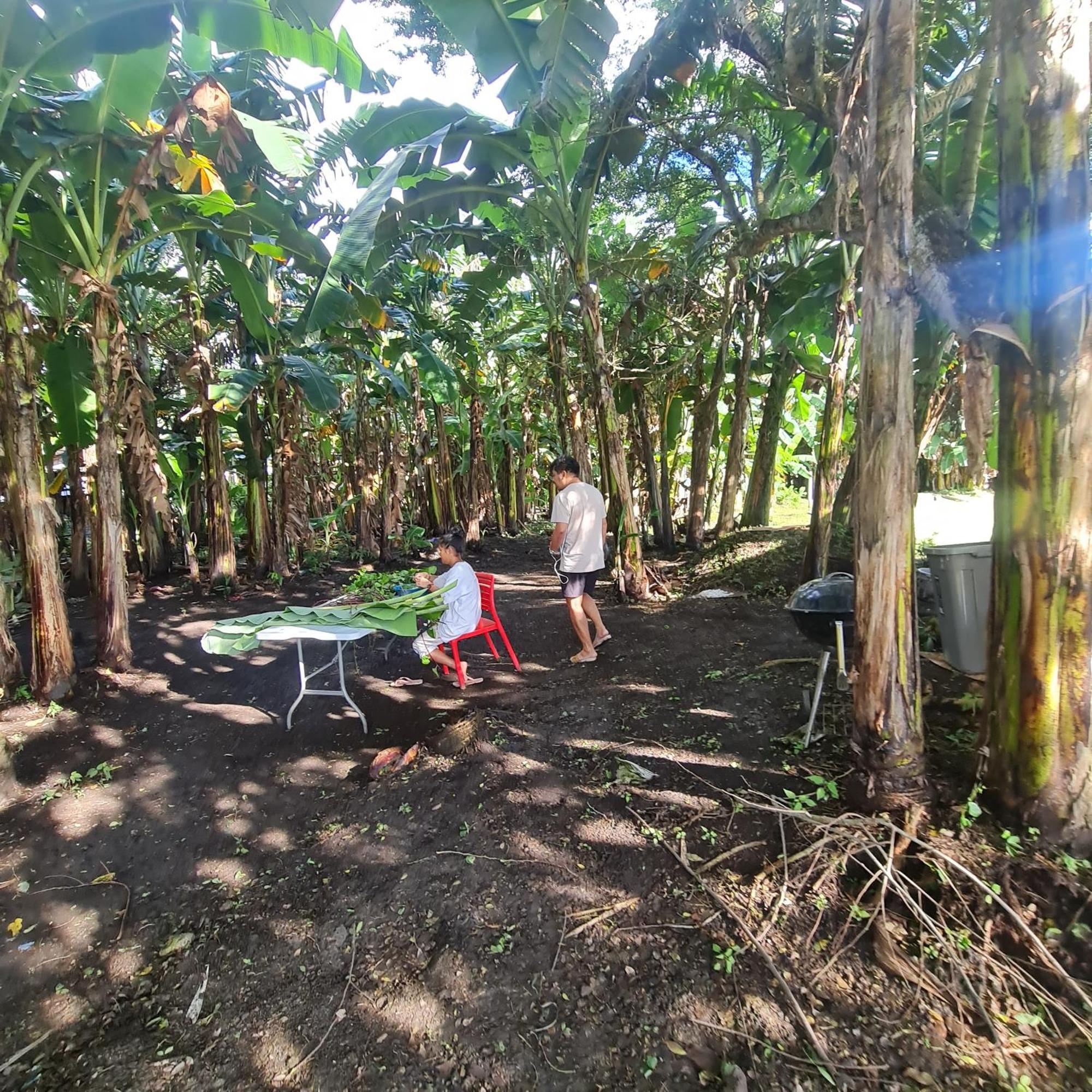 ホテル Casa Juan Farm Candelaria  エクステリア 写真