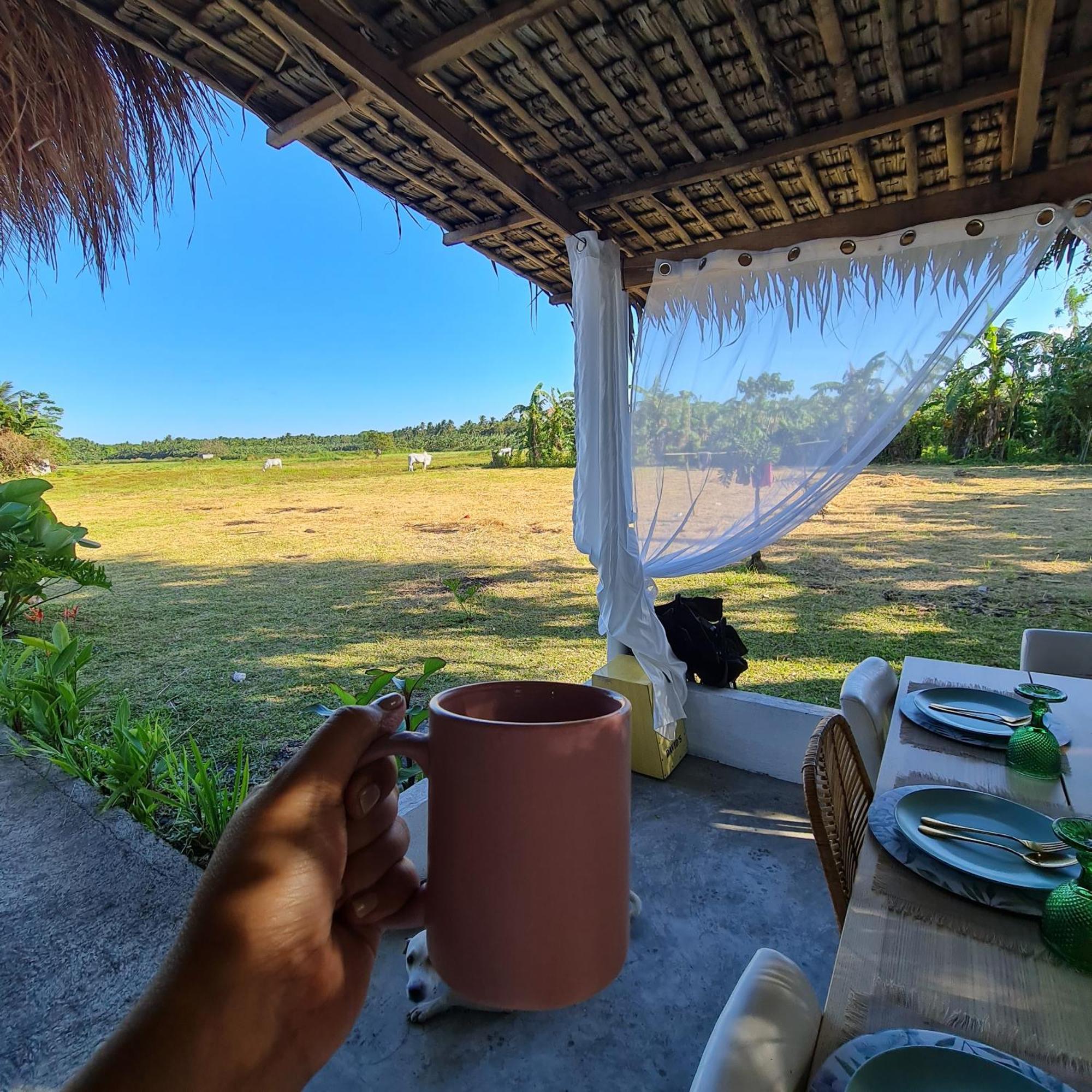 ホテル Casa Juan Farm Candelaria  エクステリア 写真